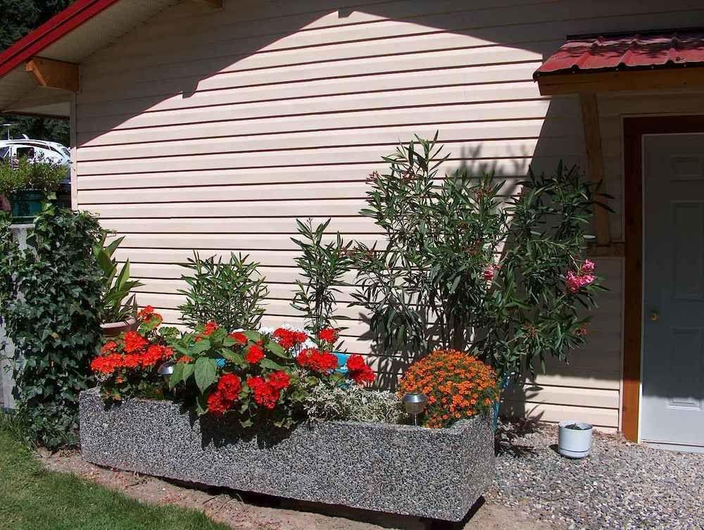 Viewpoint Rv & Cottages Salmon Arm Exteriör bild